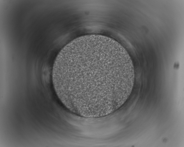 X0000102830026200809151050