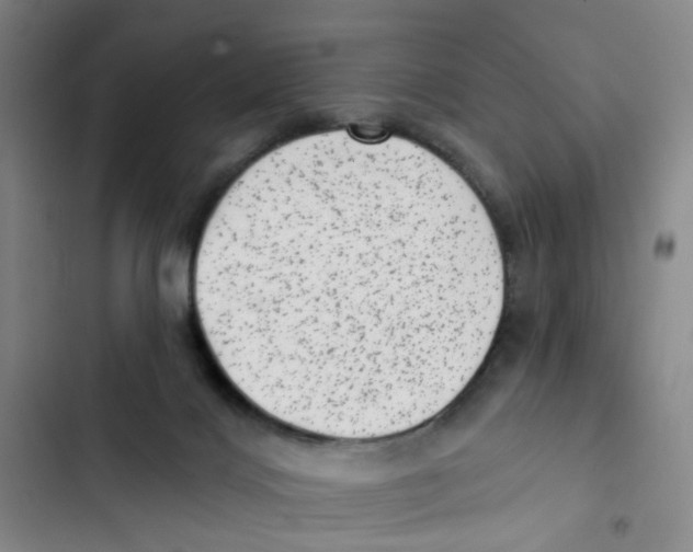 X0000102830028200809151050