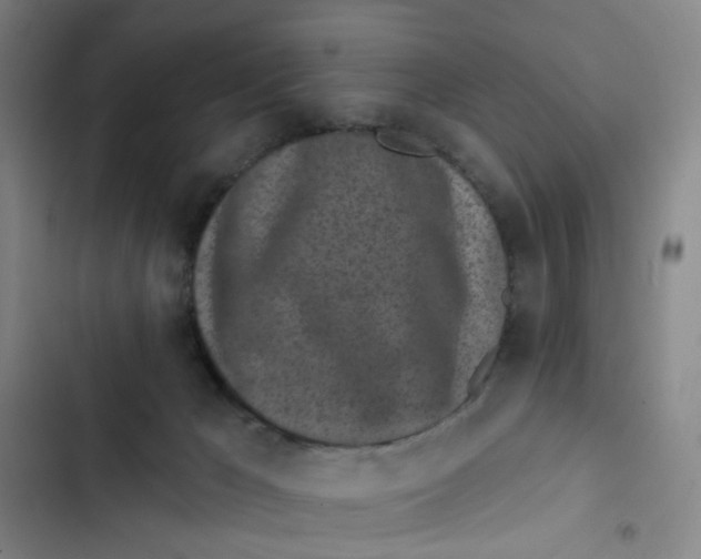 X0000102830029200809151050
