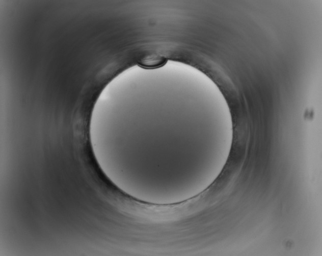 X0000102830031200809151050