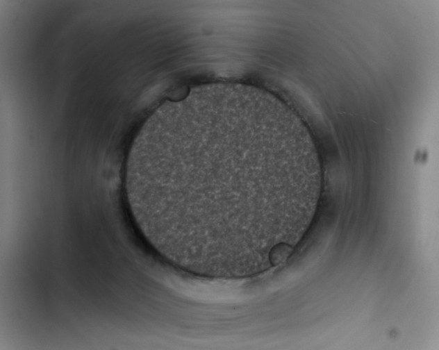 X0000102830032200809151050