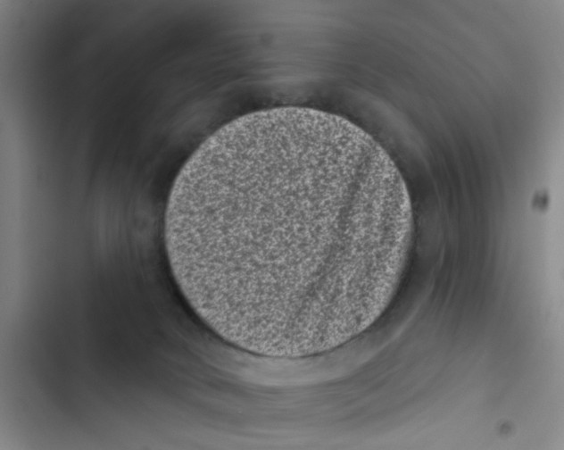 X0000102830034200809151050
