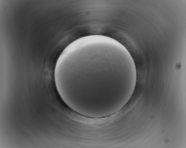 X0000102830035200809151050