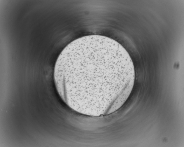 X0000102830036200809151050