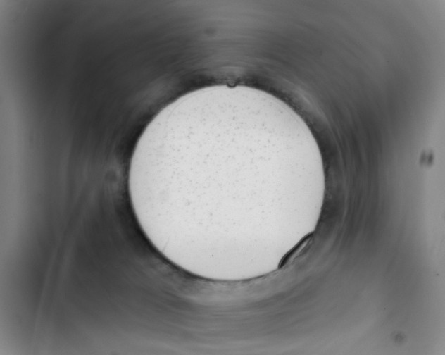 X0000102830037200809151050