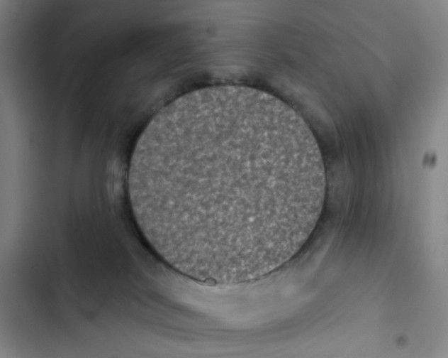 X0000102830038200809151050