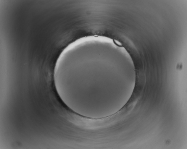 X0000102830039200809151050