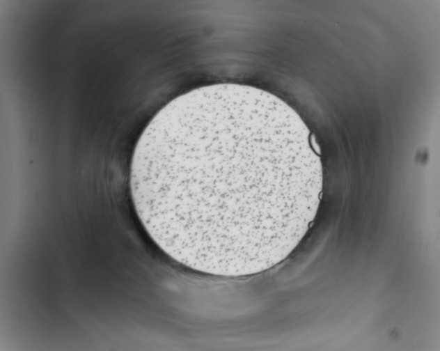 X0000102830040200809151050