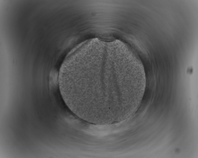 X0000102830041200809151050
