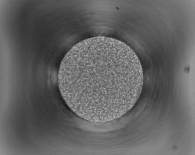 X0000102830042200809151050