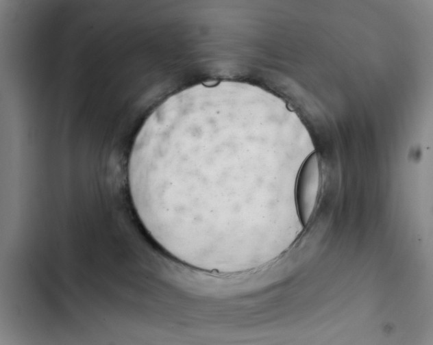 X0000102830043200809151050