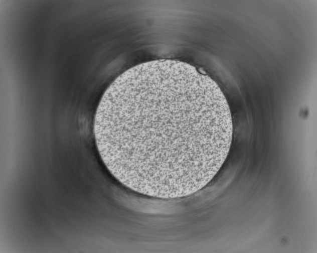 X0000102830044200809151050