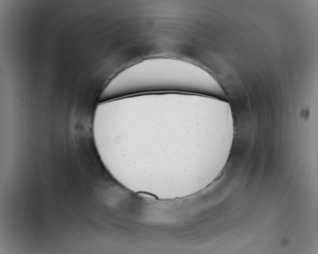 X0000102830045200809151050