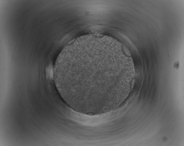 X0000102830046200809151050