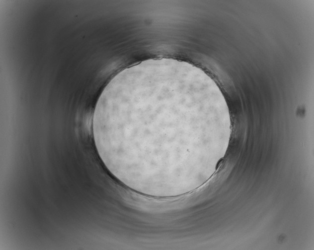 X0000102830047200809151050