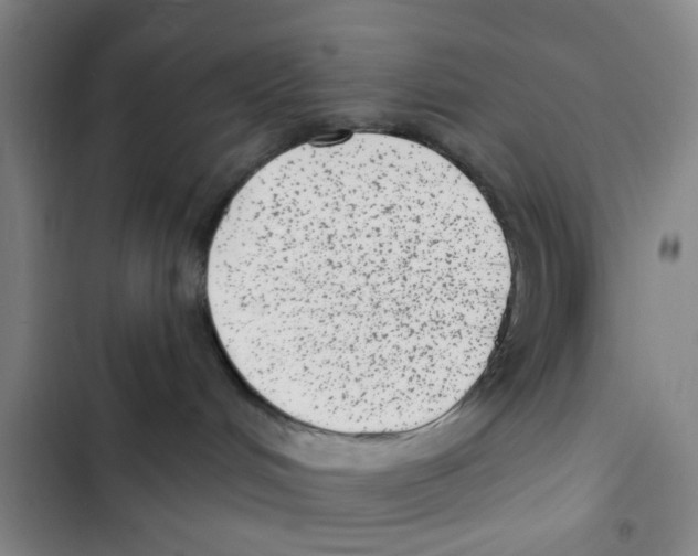 X0000102830048200809151050