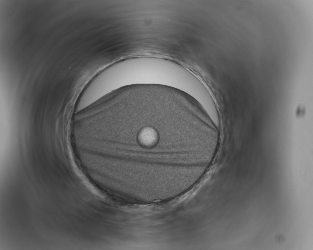X0000102830049200809151049