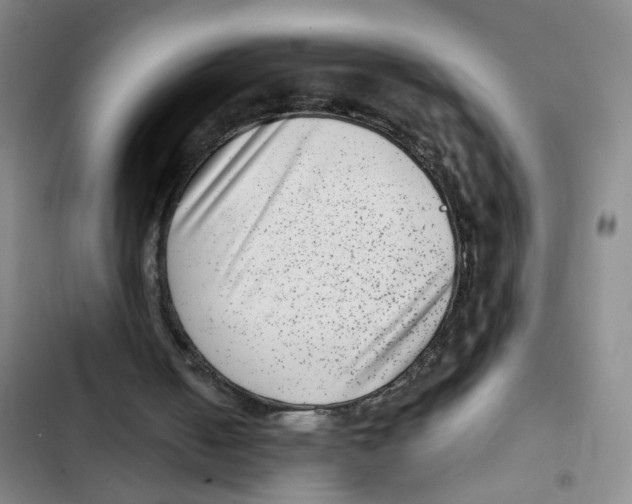 X0000102830050200809151049