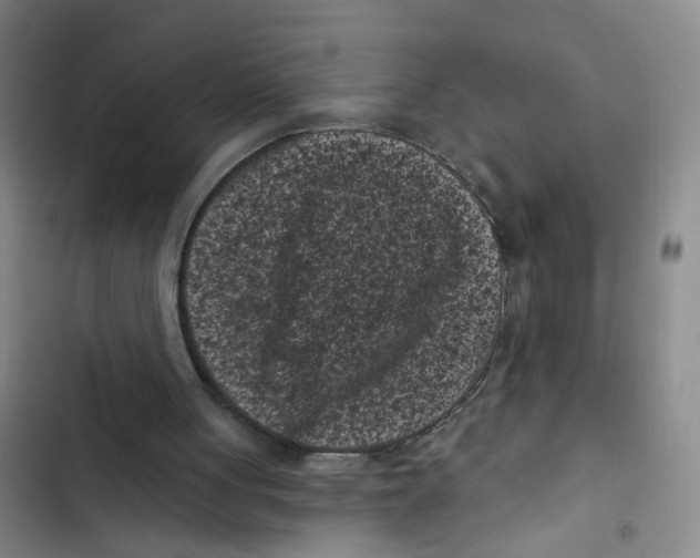 X0000102830051200809151049