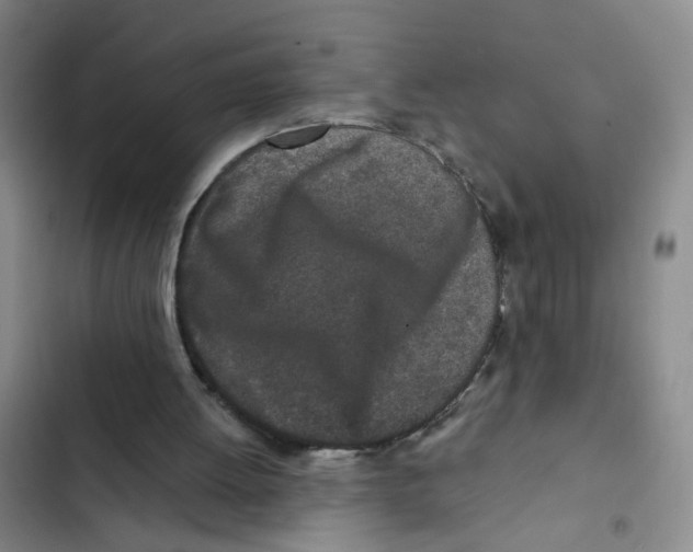 X0000102830052200809151049