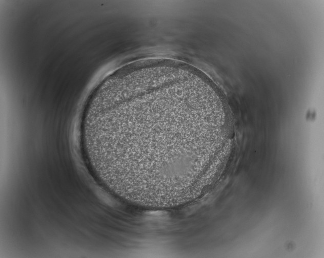 X0000102830053200809151049