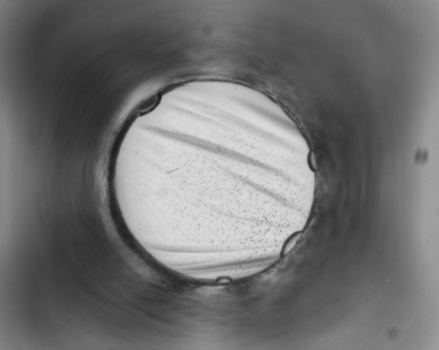 X0000102830054200809151049