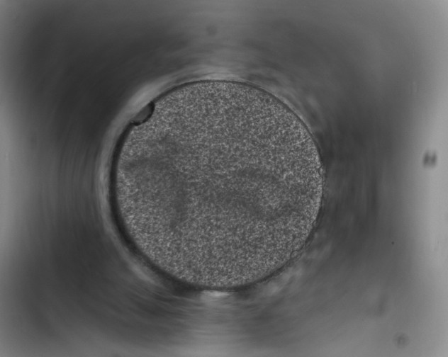 X0000102830055200809151049