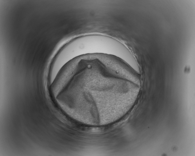 X0000102830056200809151050