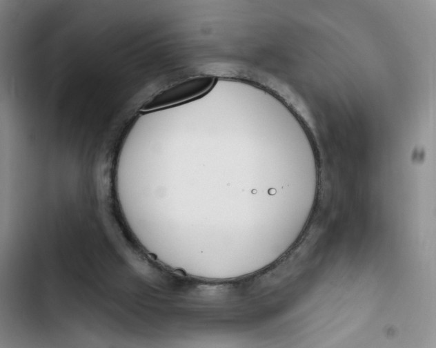 X0000102830057200809151050