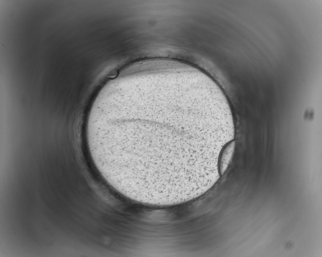 X0000102830058200809151050