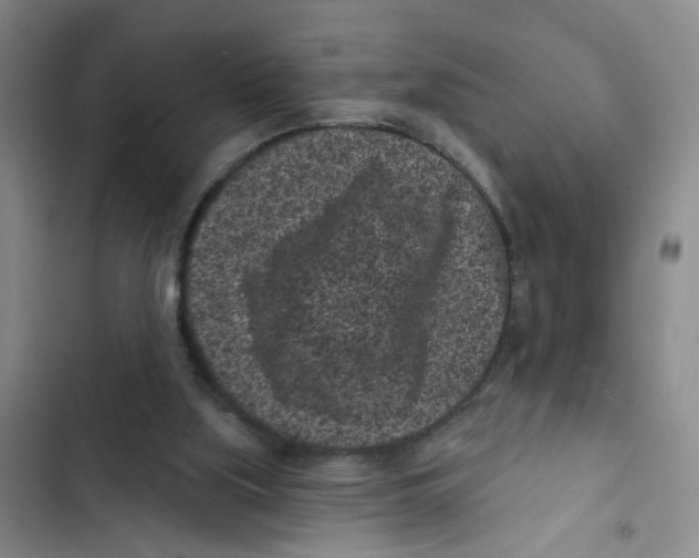 X0000102830059200809151050