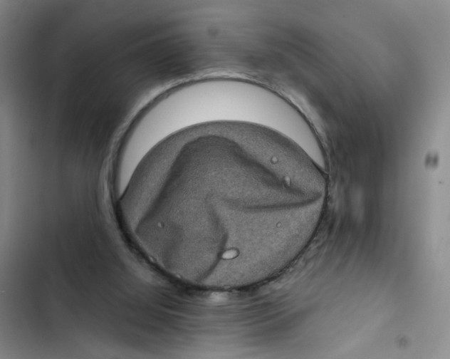 X0000102830060200809151050