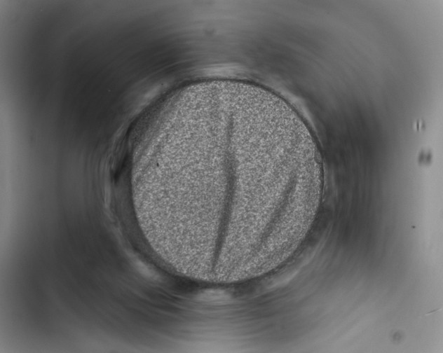 X0000102830061200809151050