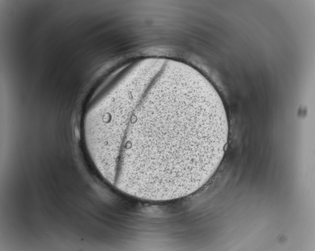 X0000102830062200809151050
