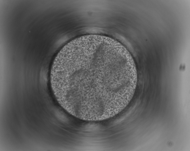 X0000102830063200809151050