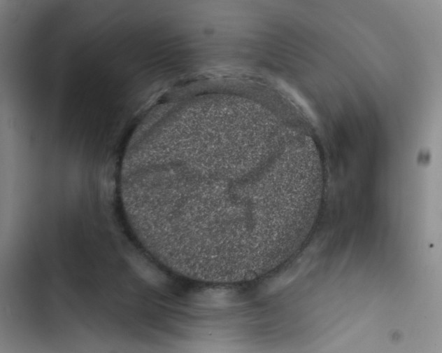 X0000102830065200809151050