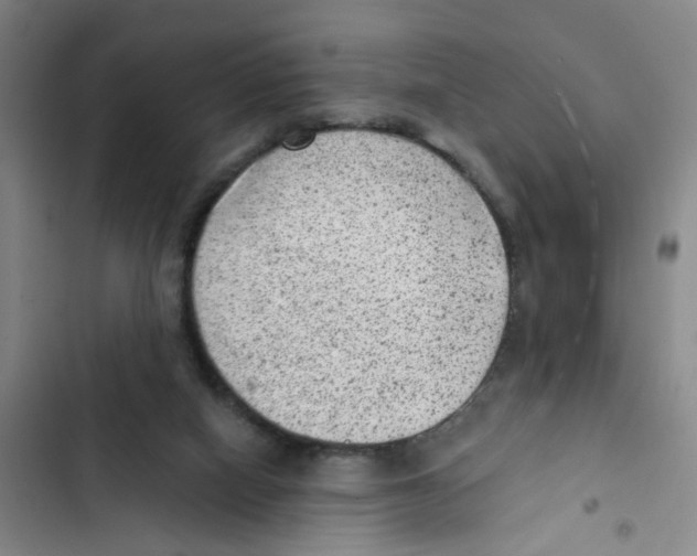 X0000102830066200809151050