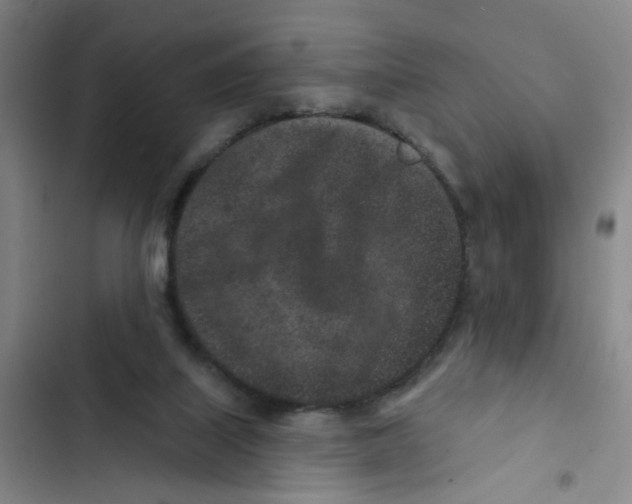 X0000102830067200809151050