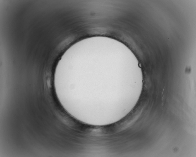 X0000102830068200809151050