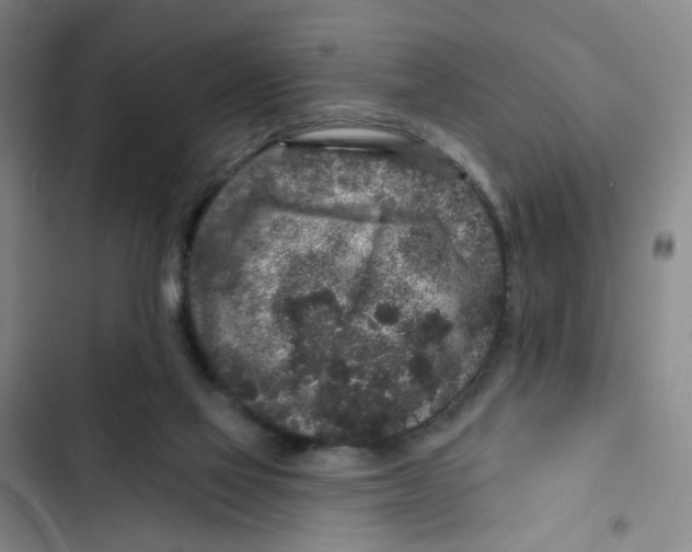 X0000102830069200809151050