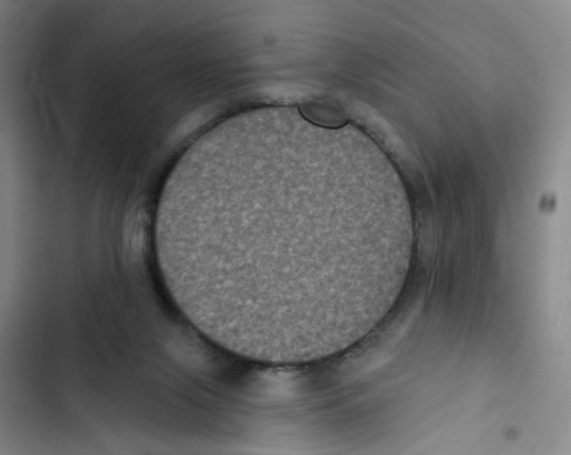 X0000102830071200809151050