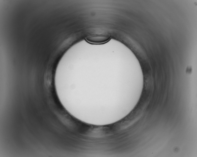 X0000102830072200809151050