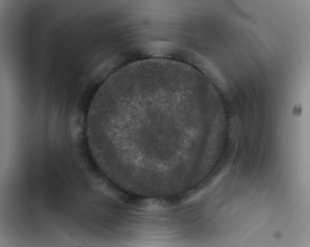 X0000102830073200809151050