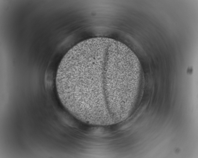X0000102830074200809151050
