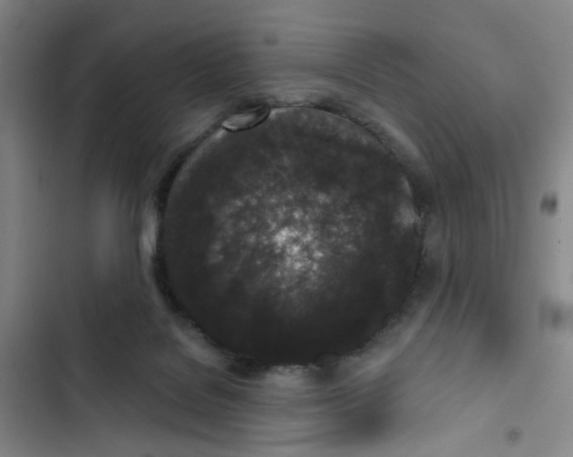 X0000102830076200809151050
