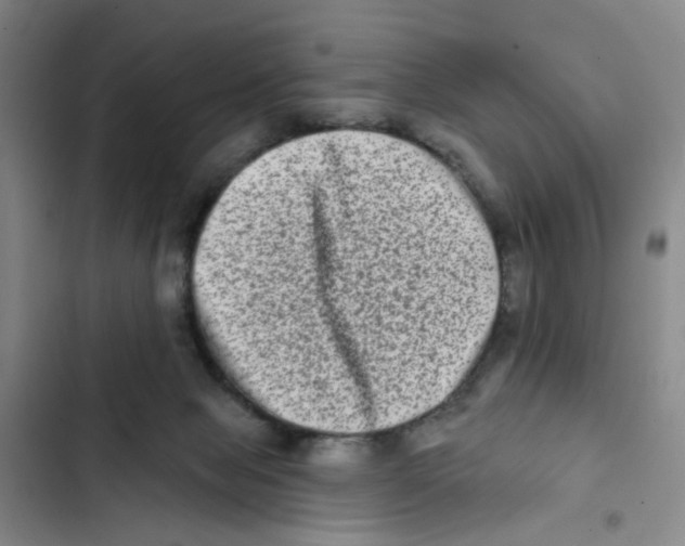 X0000102830077200809151050