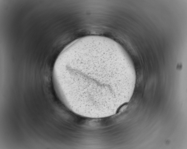 X0000102830078200809151050