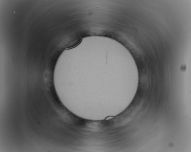 X0000102830079200809151050