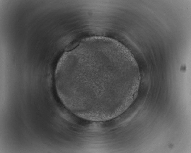 X0000102830080200809151050