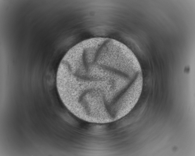 X0000102830081200809151050